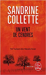 Un vent de cendres